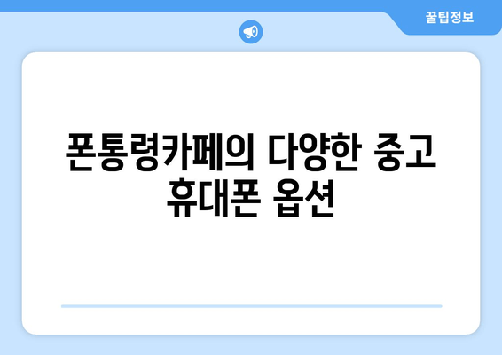 폰통령카페의 다양한 중고 휴대폰 옵션