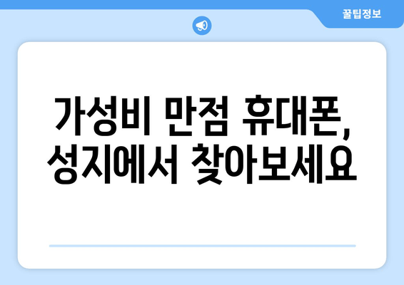 가성비 만점 휴대폰, 성지에서 찾아보세요