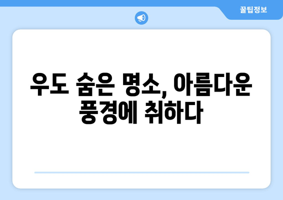 우도 여행 필수 코스| 인어공주 돌문어덮밥 맛집 & 숨은 명소 추천 | 제주도, 우도, 맛집, 여행, 가볼만한곳