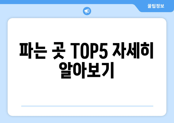 파는 곳 TOP5 자세히 알아보기