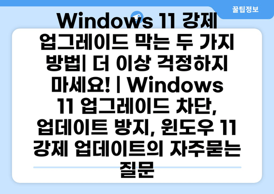 Windows 11 강제 업그레이드 막는 두 가지 방법| 더 이상 걱정하지 마세요! | Windows 11 업그레이드 차단, 업데이트 방지, 윈도우 11 강제 업데이트