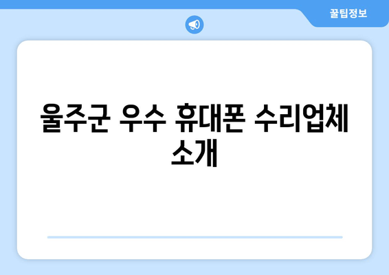 울주군 우수 휴대폰 수리업체 소개