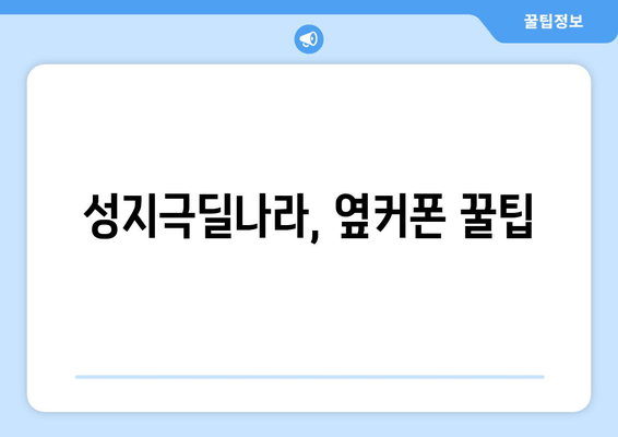 성지극딜나라, 옆커폰 꿀팁