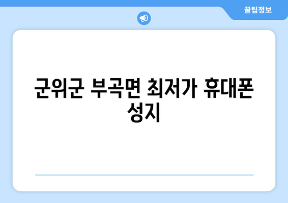군위군 부곡면 최저가 휴대폰 성지