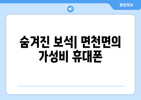 숨겨진 보석| 면천면의 가성비 휴대폰