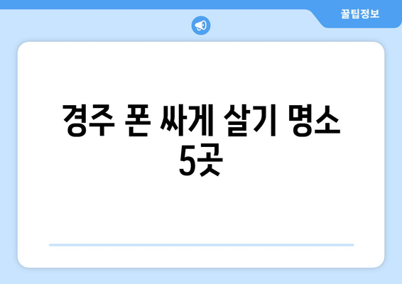 경주 폰 싸게 살기 명소 5곳