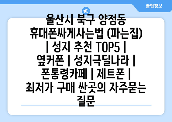 울산시 북구 양정동 휴대폰싸게사는법 (파는집) | 성지 추천 TOP5 | 옆커폰 | 성지극딜나라 | 폰통령카페 | 제트폰 | 최저가 구매 싼곳