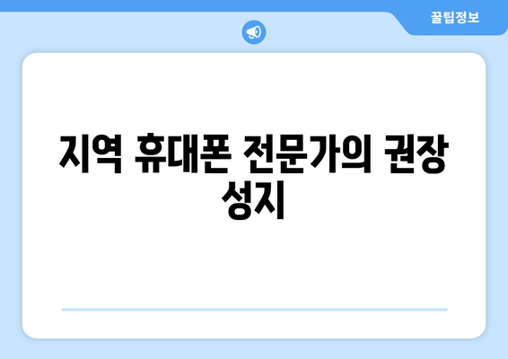 지역 휴대폰 전문가의 권장 성지