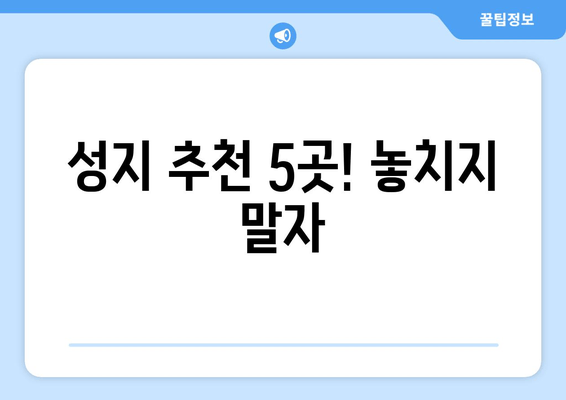 성지 추천 5곳! 놓치지 말자