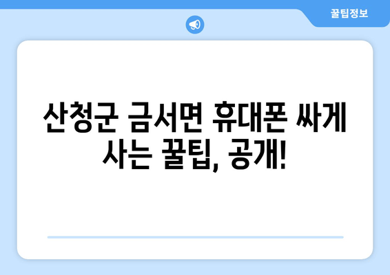 산청군 금서면 휴대폰 싸게 사는 꿀팁, 공개!