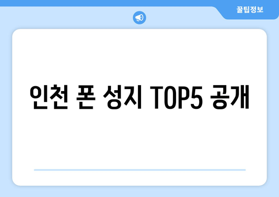 인천 폰 성지 TOP5 공개