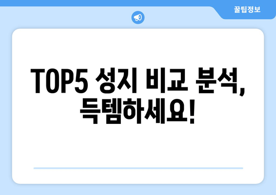 TOP5 성지 비교 분석, 득템하세요!