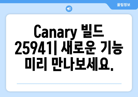 Windows 11 Insider Preview Canary 빌드 25941 다운로드 가이드 | 최신 기능, 설치 방법, 주의 사항