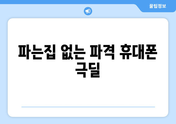 파는집 없는 파격 휴대폰 극딜