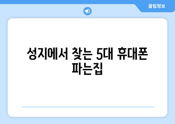 성지에서 찾는 5대 휴대폰 파는집