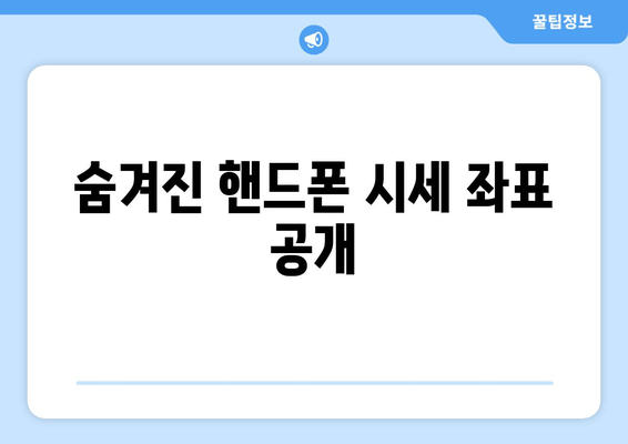 숨겨진 핸드폰 시세 좌표 공개