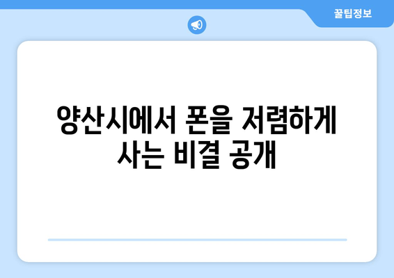 양산시에서 폰을 저렴하게 사는 비결 공개