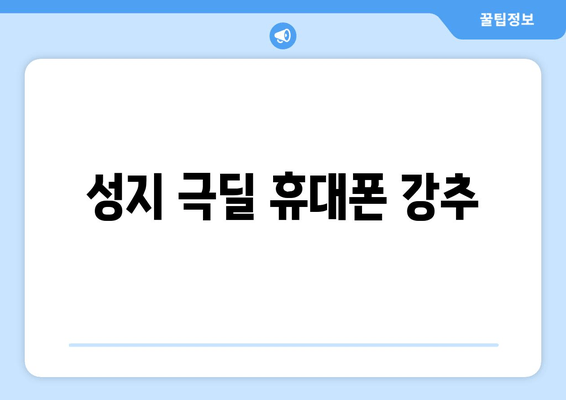 성지 극딜 휴대폰 강추