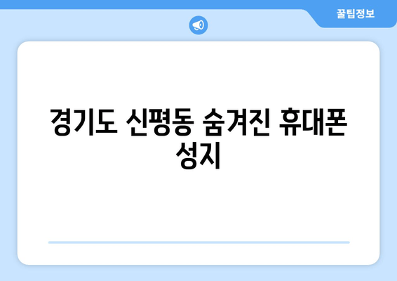 경기도 신평동 숨겨진 휴대폰 성지