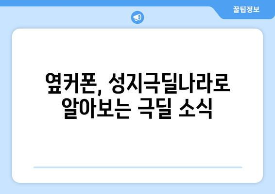 옆커폰, 성지극딜나라로 알아보는 극딜 소식