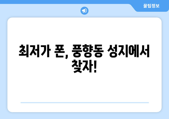 최저가 폰, 풍향동 성지에서 찾자!