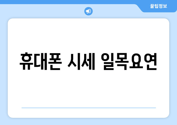 휴대폰 시세 일목요연