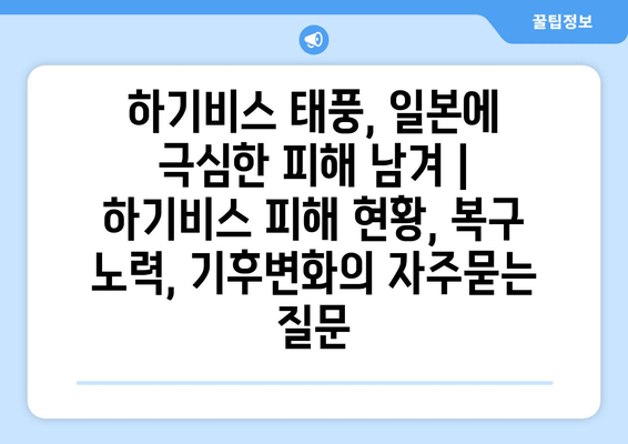하기비스 태풍, 일본에 극심한 피해 남겨 | 하기비스 피해 현황, 복구 노력, 기후변화
