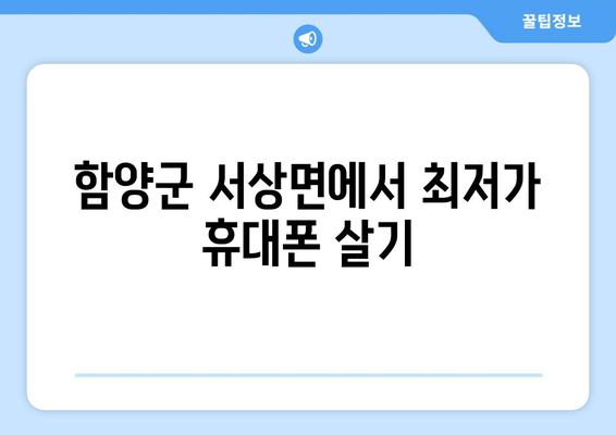 함양군 서상면에서 최저가 휴대폰 살기