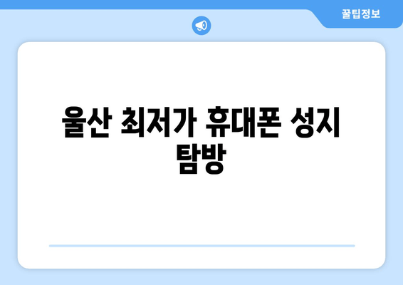 울산 최저가 휴대폰 성지 탐방