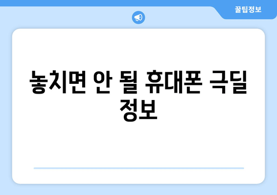 놓치면 안 될 휴대폰 극딜 정보