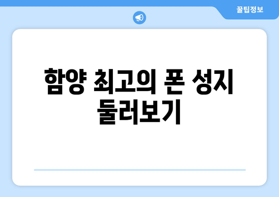 함양 최고의 폰 성지 둘러보기