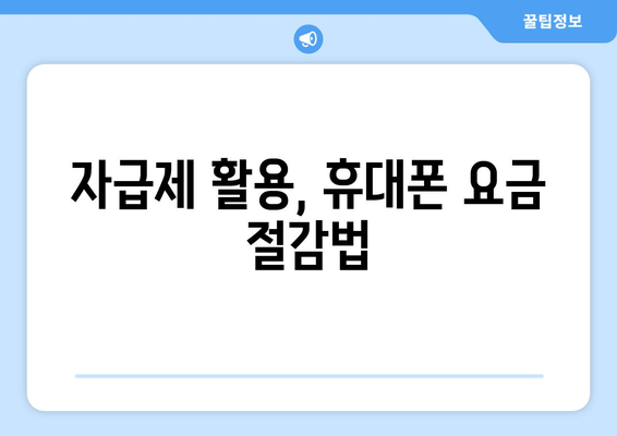 자급제 활용, 휴대폰 요금 절감법