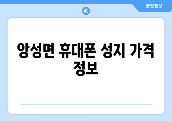 앙성면 휴대폰 성지 가격 정보