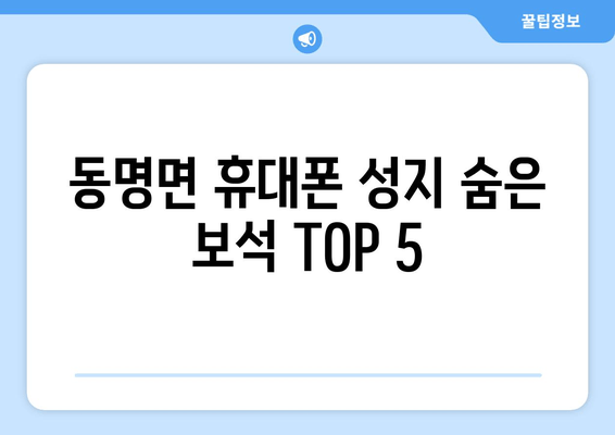 동명면 휴대폰 성지 숨은 보석 TOP 5