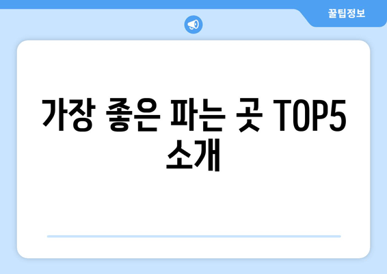 가장 좋은 파는 곳 TOP5 소개