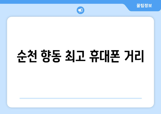 순천 향동 최고 휴대폰 거리