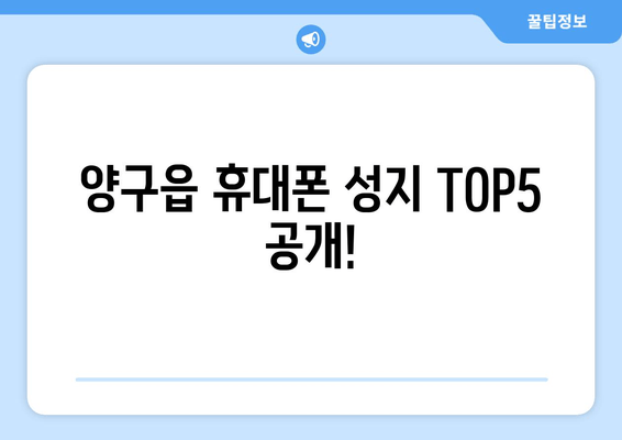 양구읍 휴대폰 성지 TOP5 공개!