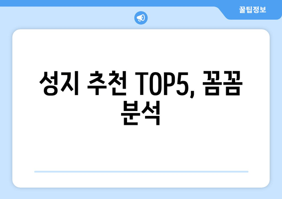 성지 추천 TOP5, 꼼꼼 분석