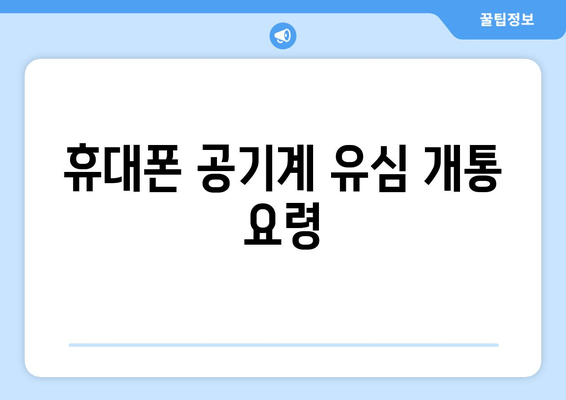 휴대폰 공기계 유심 개통 요령