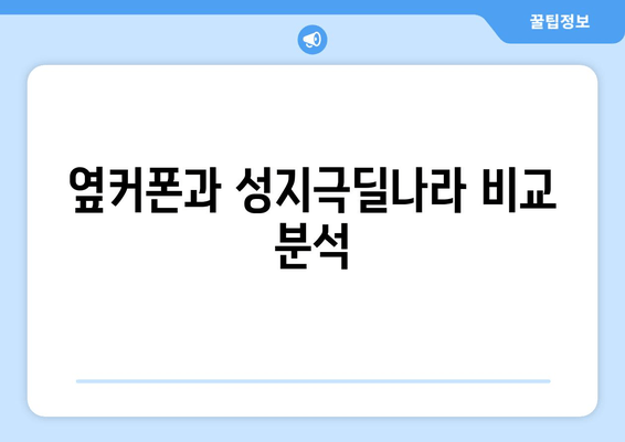 옆커폰과 성지극딜나라 비교 분석