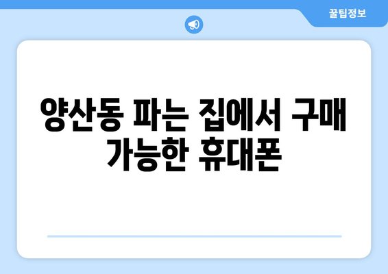 양산동 파는 집에서 구매 가능한 휴대폰