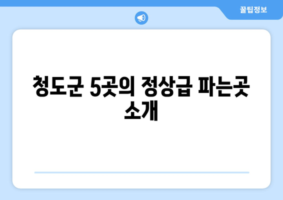 청도군 5곳의 정상급 파는곳 소개