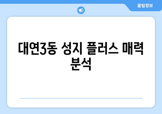 대연3동 성지 플러스 매력 분석