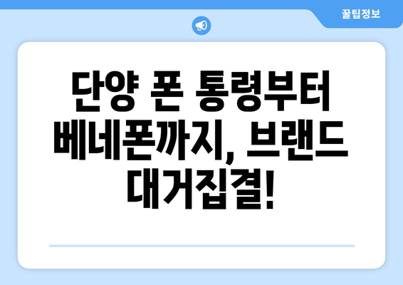 단양 폰 통령부터 베네폰까지, 브랜드 대거집결!