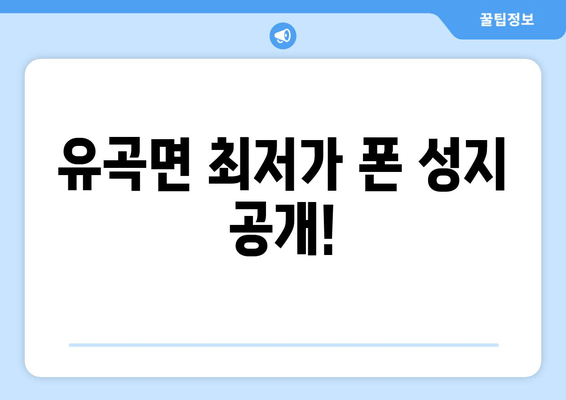 유곡면 최저가 폰 성지 공개!