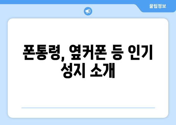 폰통령, 옆커폰 등 인기 성지 소개