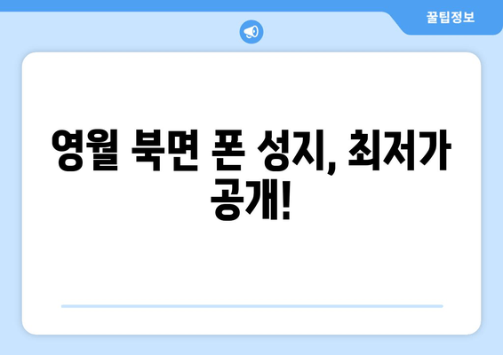 영월 북면 폰 성지, 최저가 공개!