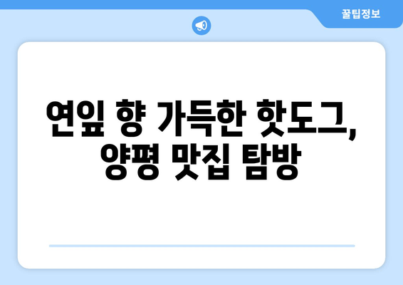 양평 연잎 핫도그 맛집| 맛과 분위기, 그리고 특별함까지! | 양평 핫도그, 연잎 핫도그, 맛집 추천, 데이트 코스