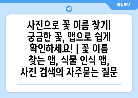 사진으로 꽃 이름 찾기| 궁금한 꽃, 앱으로 쉽게 확인하세요! | 꽃 이름 찾는 앱, 식물 인식 앱, 사진 검색