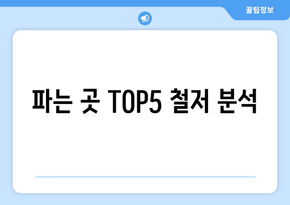 파는 곳 TOP5 철저 분석